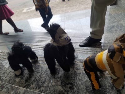 Small mountain gorilla stuffed animal within custom made realization