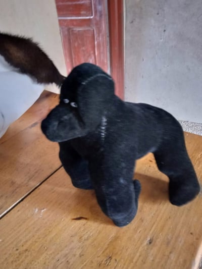 Small mountain gorilla stuffed animal within custom made realization